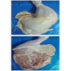 POLLO - TRUTRO ENTERO 1 KILO